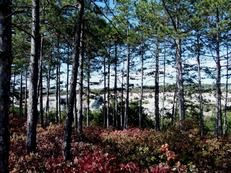 Лучами солнца избалован…  Крым. сентябрь 2016