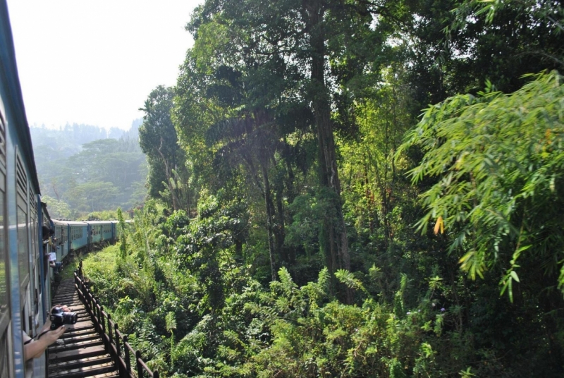 Незатоптанные красоты Шри Ланки.