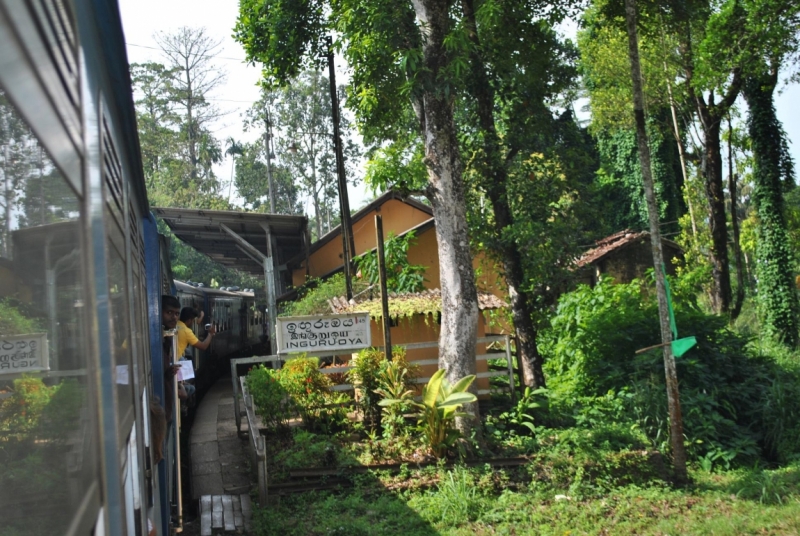 Незатоптанные красоты Шри Ланки.