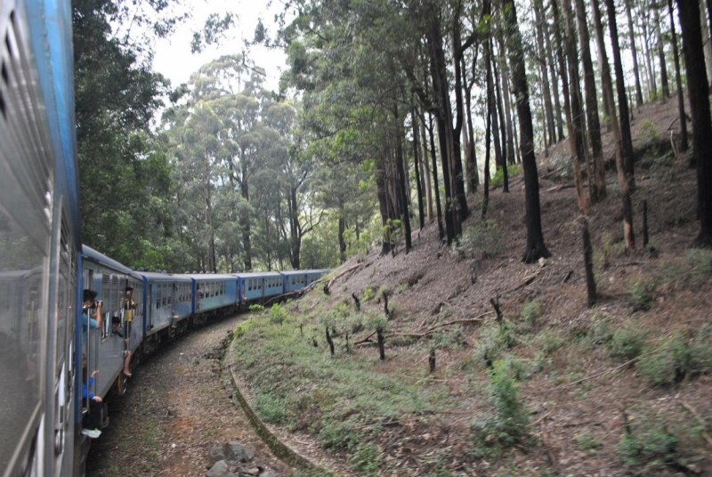 Незатоптанные красоты Шри Ланки.