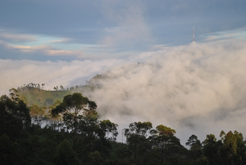 Незатоптанные красоты Шри Ланки.