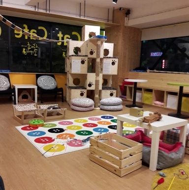 Поговорим о кошках41