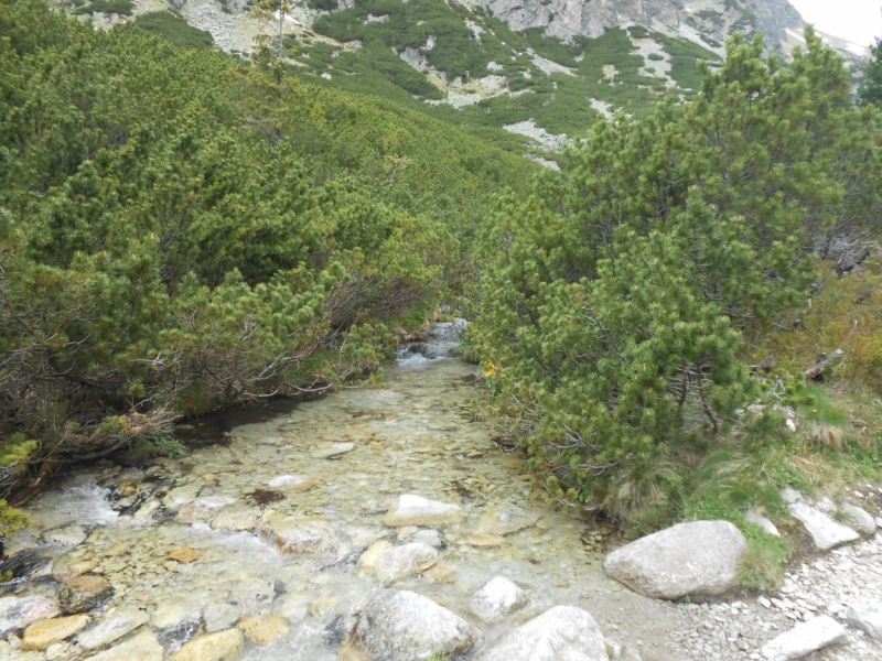 Горы, замки, море… (Словакия, Польша, Прибалтика 2016).