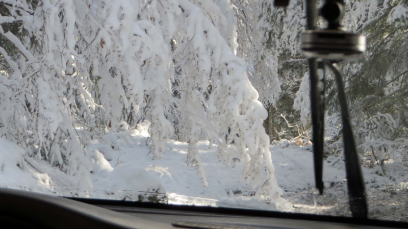 На выходные в Красную Поляну (ноябрь 2016).