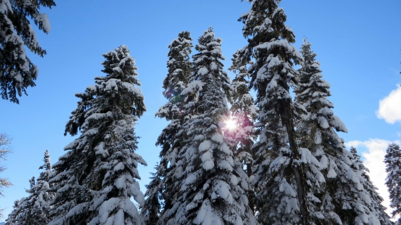 На выходные в Красную Поляну (ноябрь 2016).