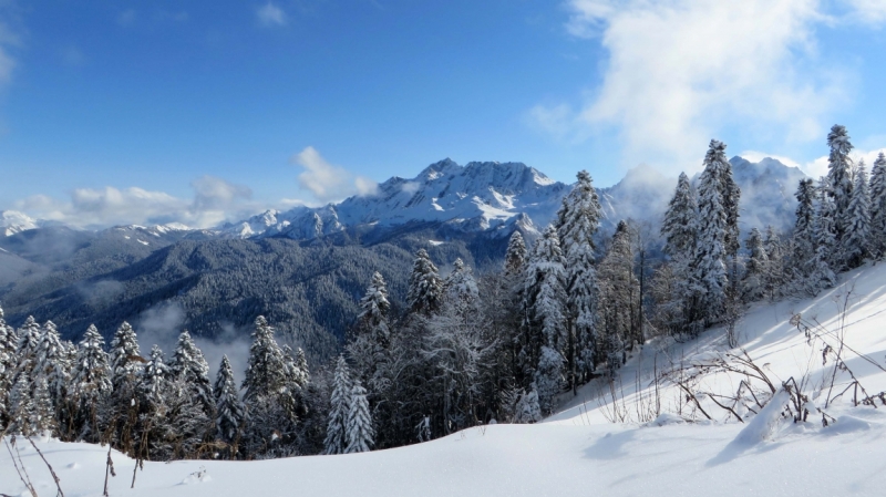 На выходные в Красную Поляну (ноябрь 2016).