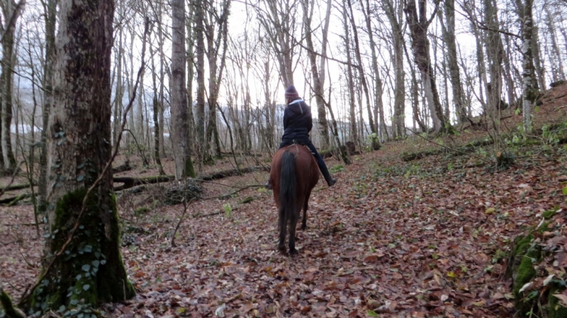 На выходные в Красную Поляну (ноябрь 2016).