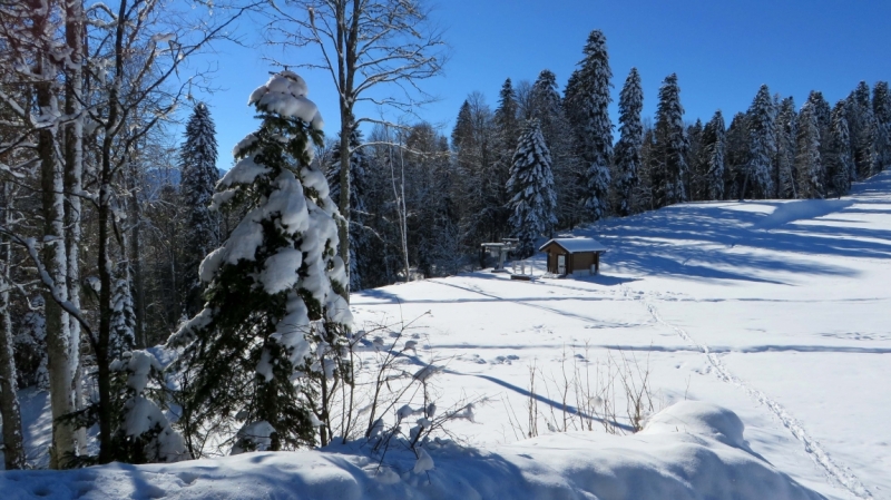 На выходные в Красную Поляну (ноябрь 2016).