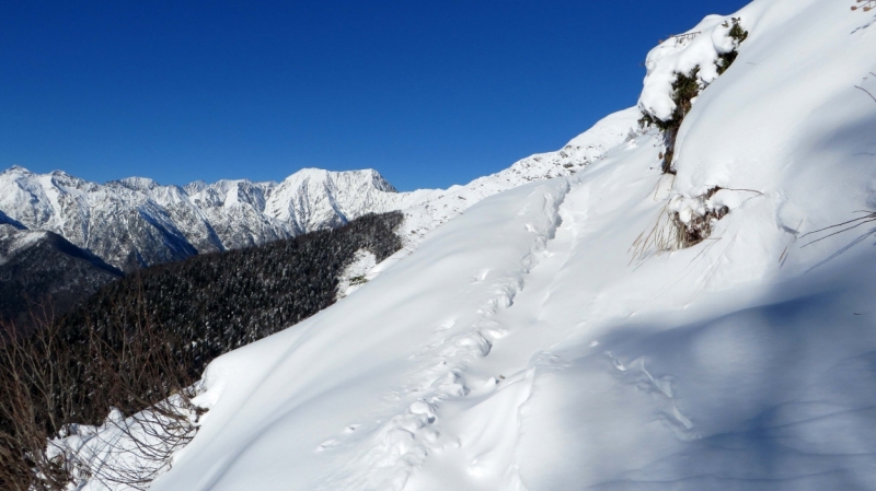 На выходные в Красную Поляну (ноябрь 2016).