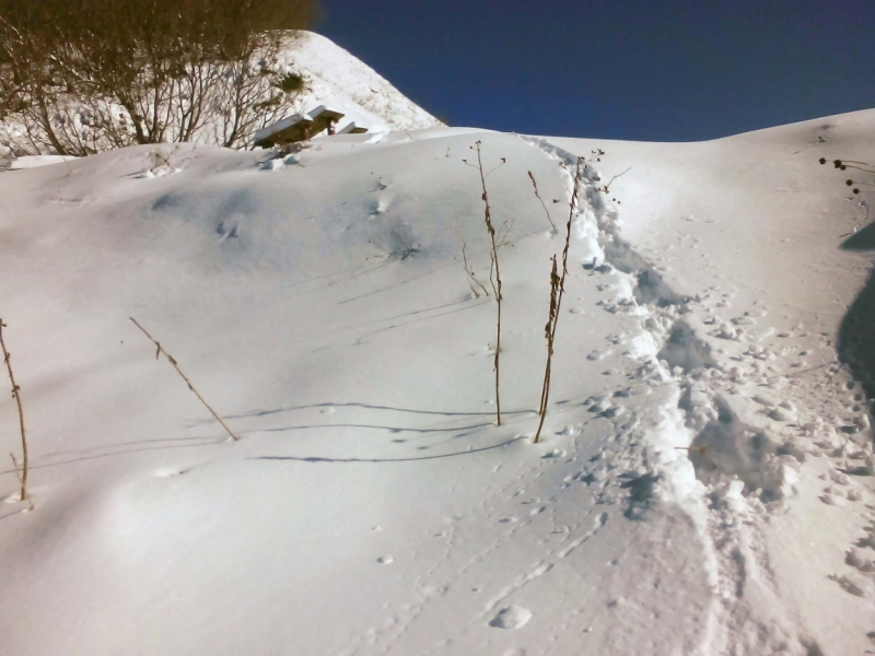 На выходные в Красную Поляну (ноябрь 2016).