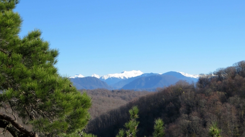 На выходные в Красную Поляну (ноябрь 2016).
