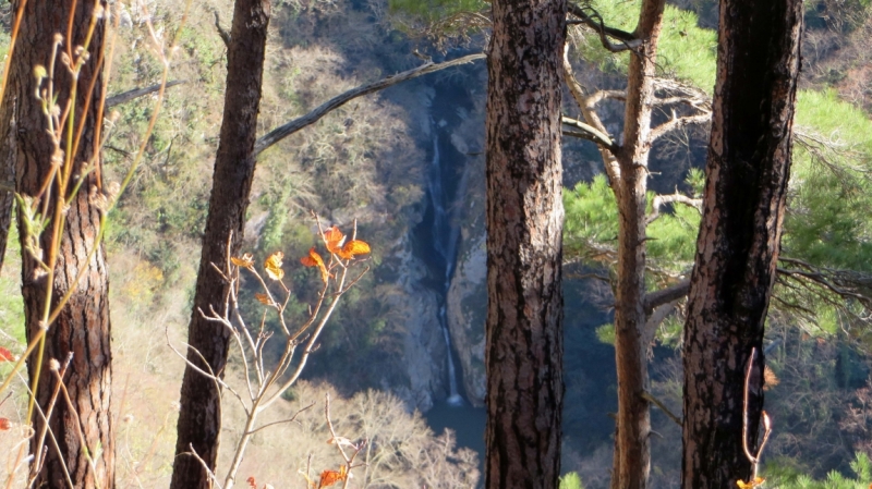 На выходные в Красную Поляну (ноябрь 2016).