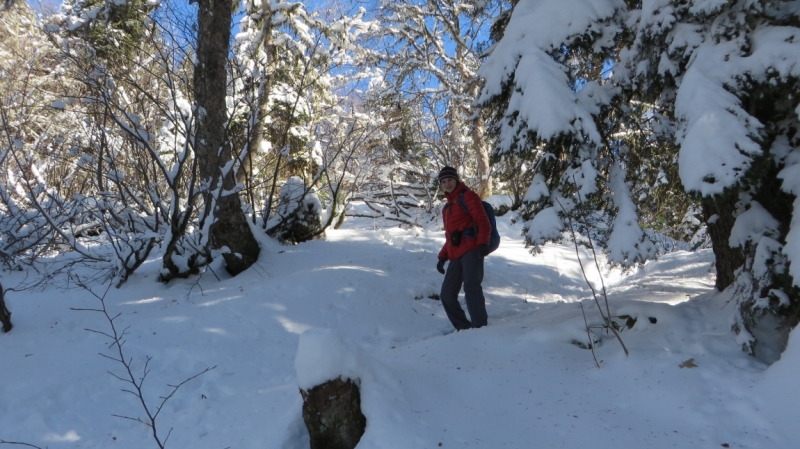 На выходные в Красную Поляну (ноябрь 2016).