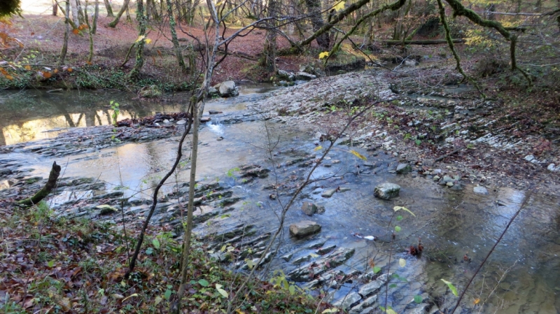 На выходные в Красную Поляну (ноябрь 2016).