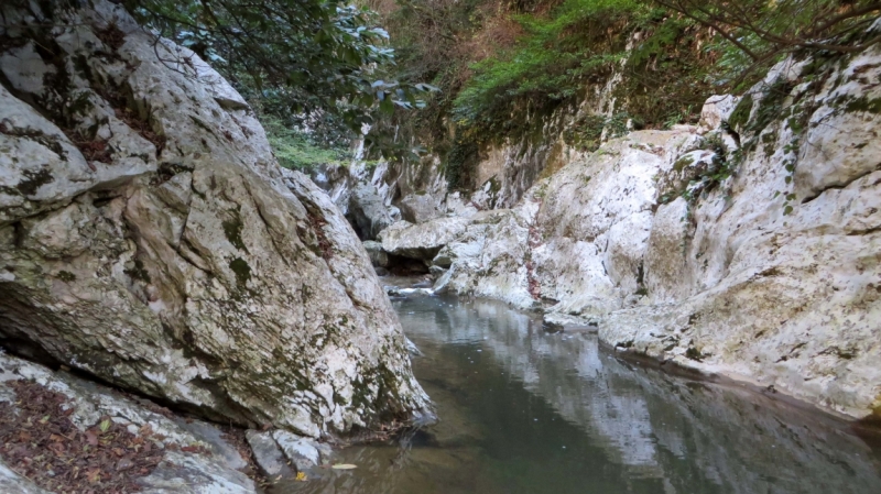 На выходные в Красную Поляну (ноябрь 2016).