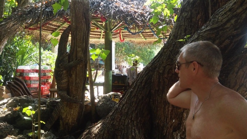 Самостоятельное путешествие по Шри-Ланке,март 2016