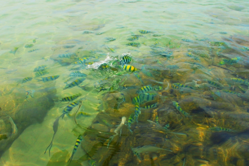 Первый раз самостоятельно в ЮВА: Бангкок, Сиемреап, Самуи