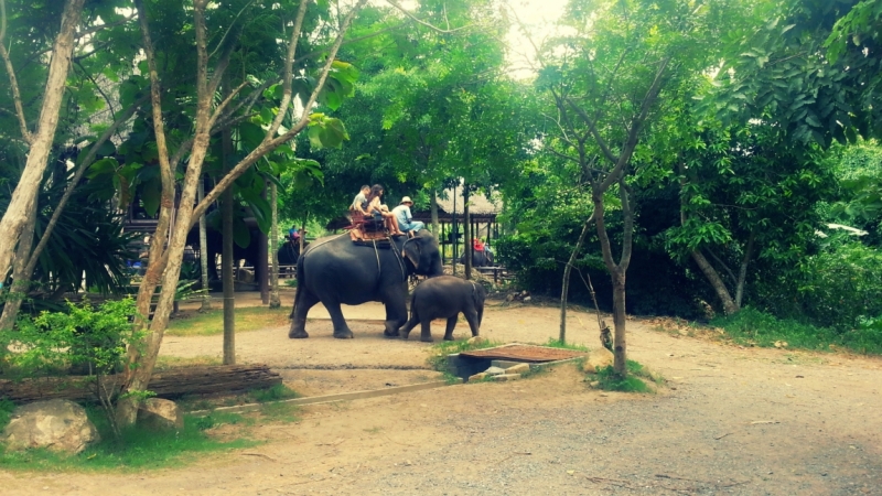 Первый раз самостоятельно в ЮВА: Бангкок, Сиемреап, Самуи