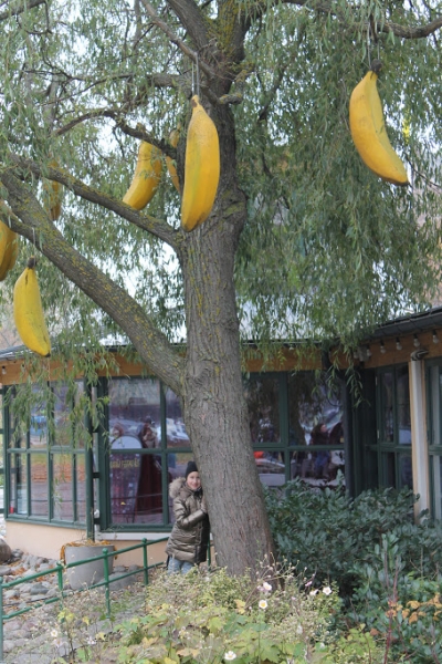 Осенние каникулы в Эстонии 2016. Плюс Хельсинки и Стокгольм Осенние каникулы в Эстонии 2016. Плюс Хельсинки и Стокгольм