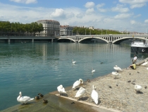 Lyon