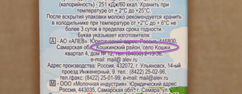 Поговорим о кошках41