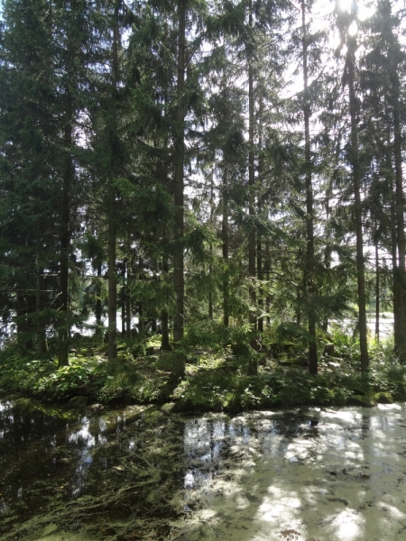 7 дней в Питере и не только (автопутешествие)