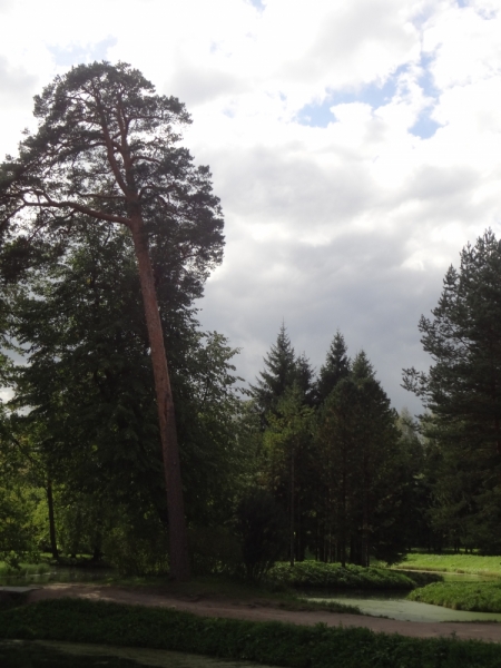 7 дней в Питере и не только (автопутешествие)