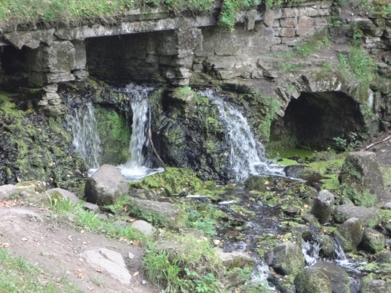 7 дней в Питере и не только (автопутешествие)