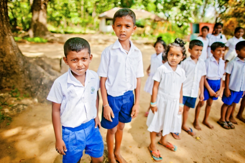 Фотоотчет Шри Ланка 2012 часть первая! Интересно)