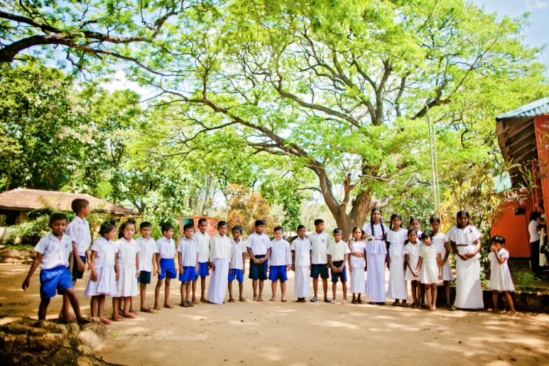 Фотоотчет Шри Ланка 2012 часть первая! Интересно)