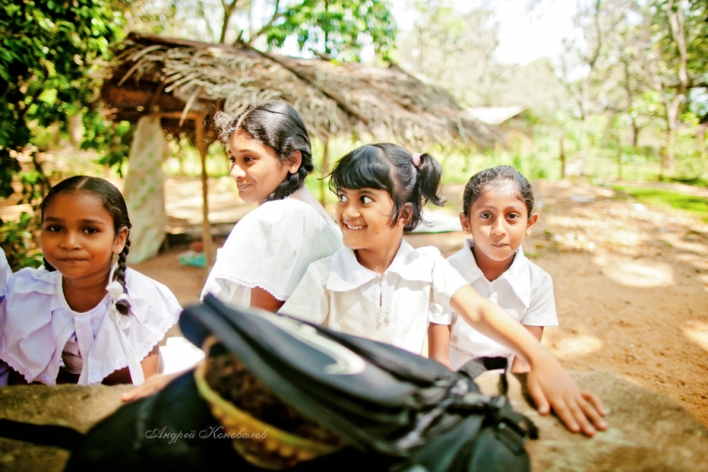 Фотоотчет Шри Ланка 2012 часть первая! Интересно)