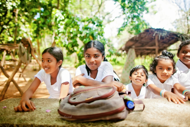 Фотоотчет Шри Ланка 2012 часть первая! Интересно)