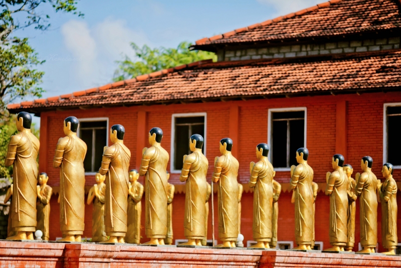 Фотоотчет Шри Ланка 2012 часть первая! Интересно)