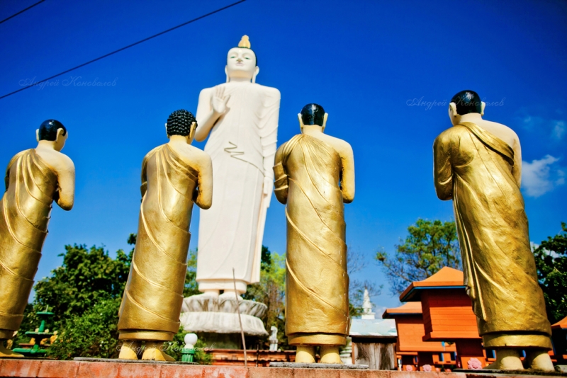 Фотоотчет Шри Ланка 2012 часть первая! Интересно)