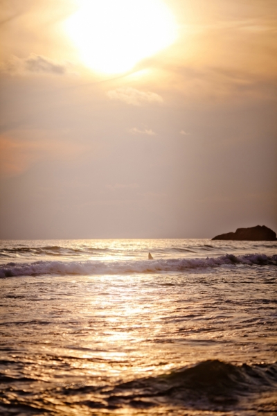 Фотоотчет Шри Ланка 2012 часть первая! Интересно)