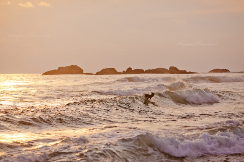 Фотоотчет Шри Ланка 2012 часть первая! Интересно)