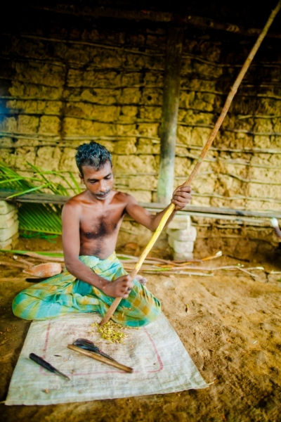 Фотоотчет Шри Ланка 2012 часть первая! Интересно)