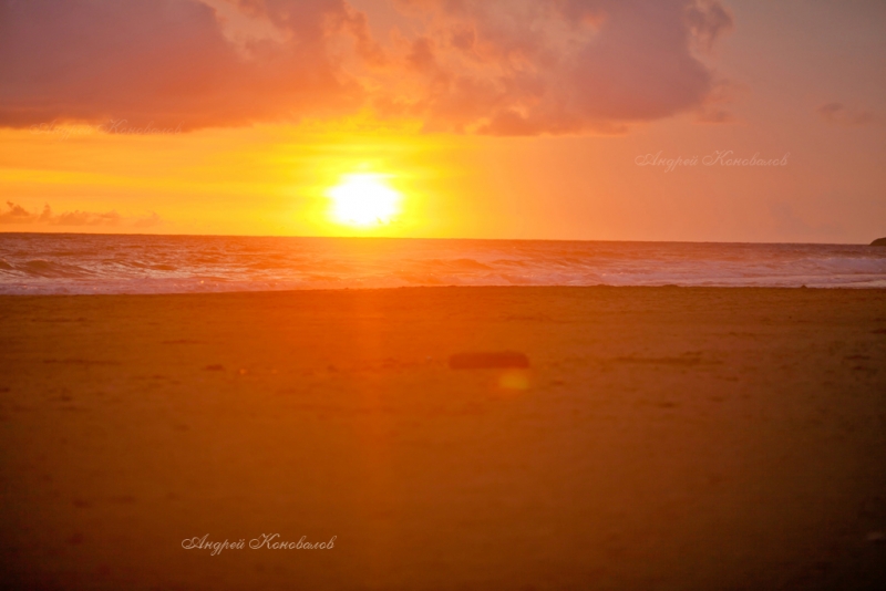 Фотоотчет Шри Ланка 2012 часть первая! Интересно)