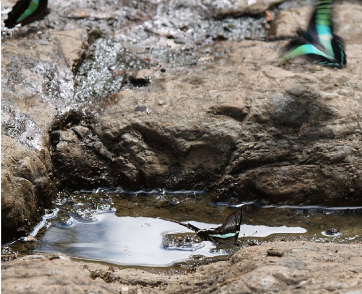 Фукуок-Далат-Нячанг. Ноябрь 2016