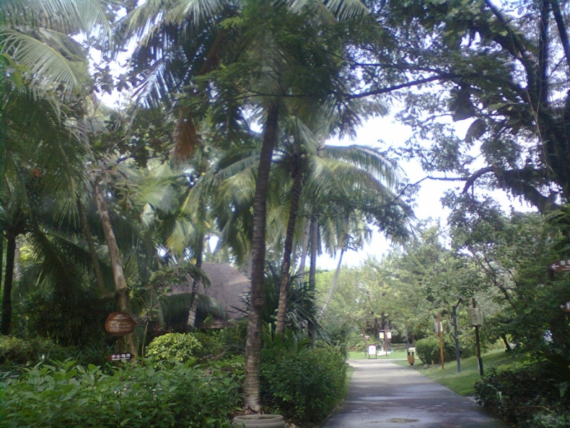 Путешествие 2-х пенсионерок в Санья