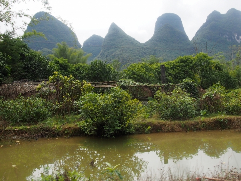 Галопом по Китаю. Гуанчжоу-Гулинь-Яншо-Гуйлинь-Чжандзанце-Гуанчжоу за 8 дней.