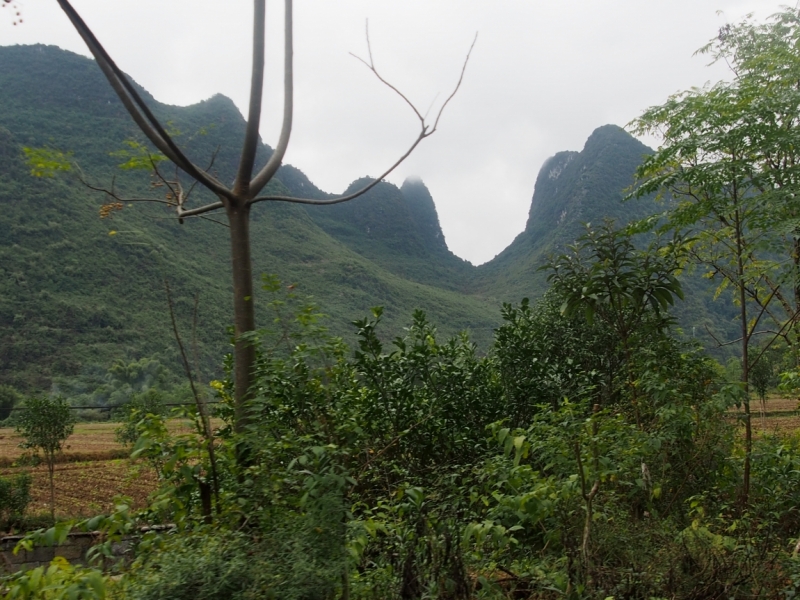 Галопом по Китаю. Гуанчжоу-Гулинь-Яншо-Гуйлинь-Чжандзанце-Гуанчжоу за 8 дней.