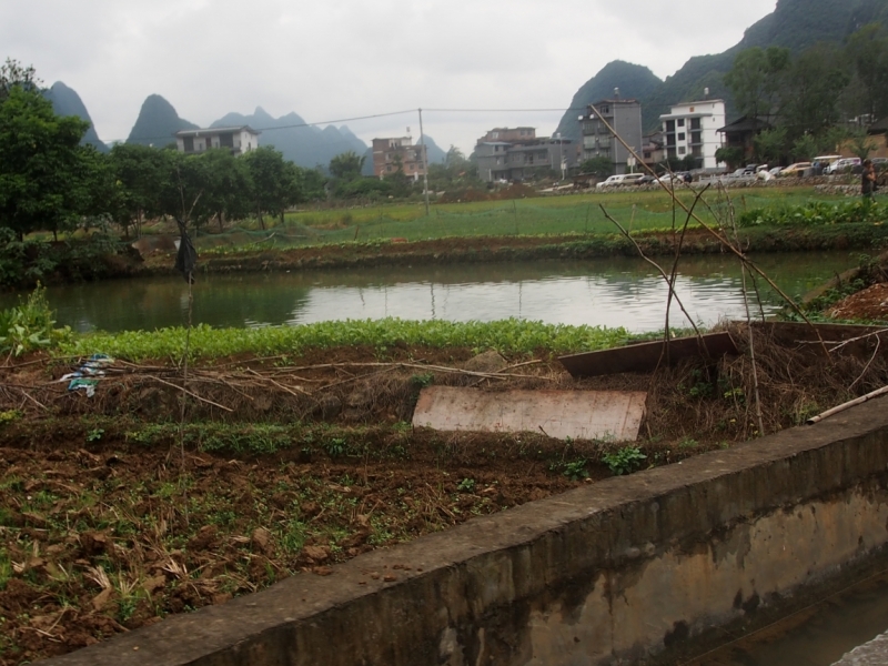 Галопом по Китаю. Гуанчжоу-Гулинь-Яншо-Гуйлинь-Чжандзанце-Гуанчжоу за 8 дней.