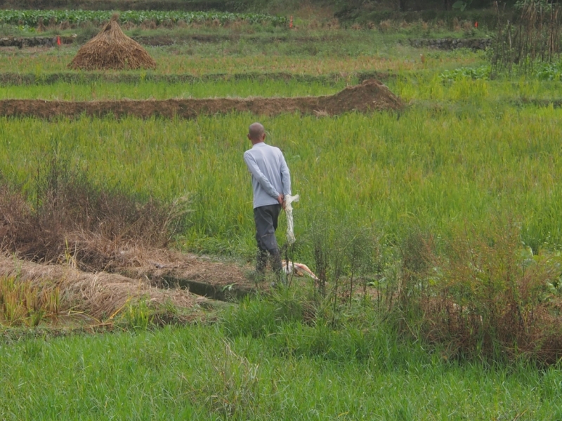 Галопом по Китаю. Гуанчжоу-Гулинь-Яншо-Гуйлинь-Чжандзанце-Гуанчжоу за 8 дней.