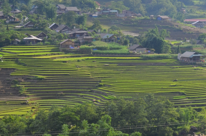 Северный Вьетнам.Ha Noi-Sapa-Mu Cang Chai-Cat Ba-Nha Trang-Ho Chi Minh