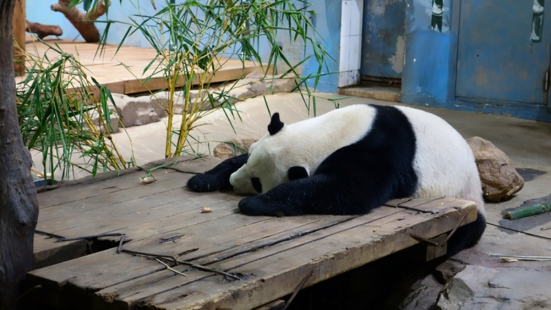 Китай местами в октябре 2016