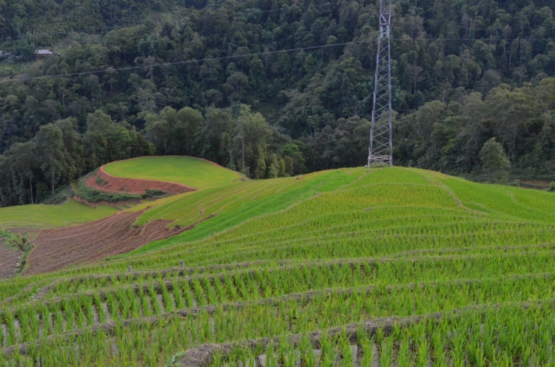 Северный Вьетнам.Ha Noi-Sapa-Mu Cang Chai-Cat Ba-Nha Trang-Ho Chi Minh