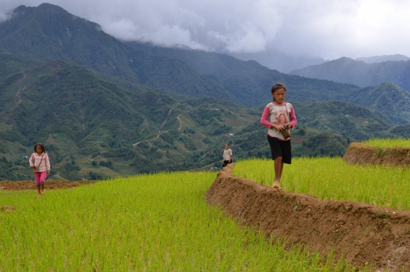 Северный Вьетнам.Ha Noi-Sapa-Mu Cang Chai-Cat Ba-Nha Trang-Ho Chi Minh