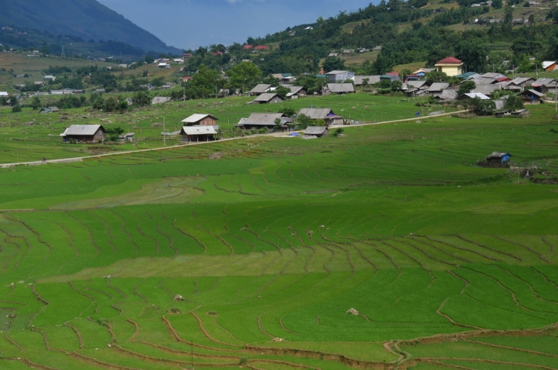 Северный Вьетнам.Ha Noi-Sapa-Mu Cang Chai-Cat Ba-Nha Trang-Ho Chi Minh