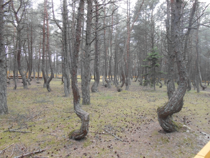 Горы, замки, море… (Словакия, Польша, Прибалтика 2016).